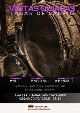 Museo del Vino. Fiesta de la Vendimia de Cangas del Narcea 2024.