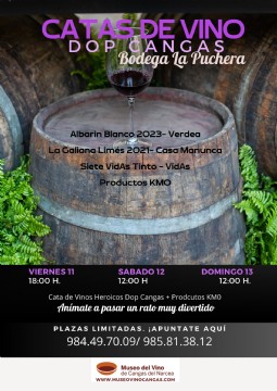 Museo del Vino. Fiesta de la Vendimia de Cangas del Narcea 2024.