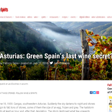 wine of asturias by wine and spirits